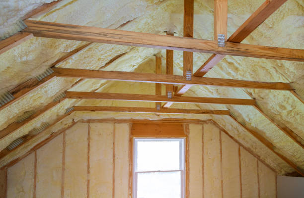 Best Spray Foam Insulation in La Mesilla, NM