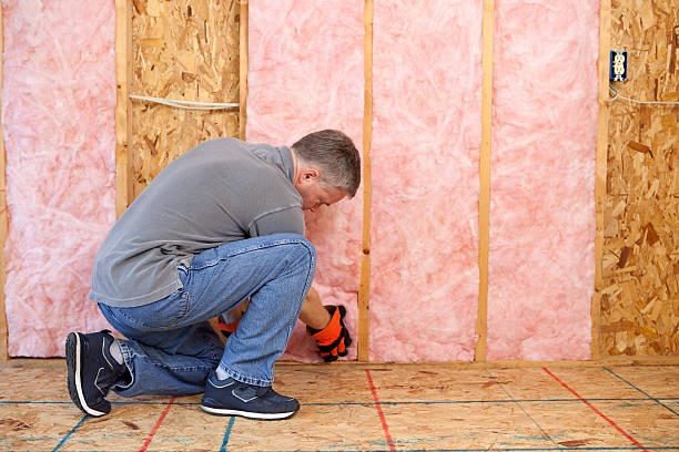 Best Cellulose Insulation in La Mesilla, NM