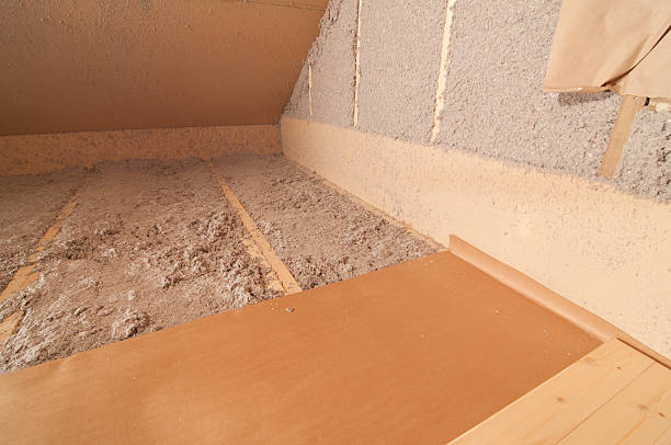 Best Eco-Friendly Insulation in La Mesilla, NM
